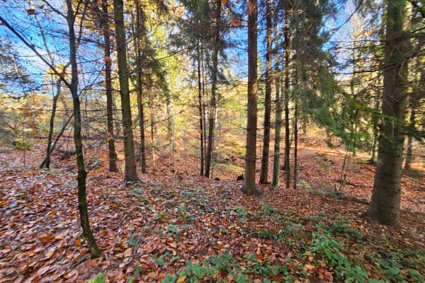 Prodej pozemku 31.850 m², Bílovec Prodej pozemku 31.850 m², Bílovec