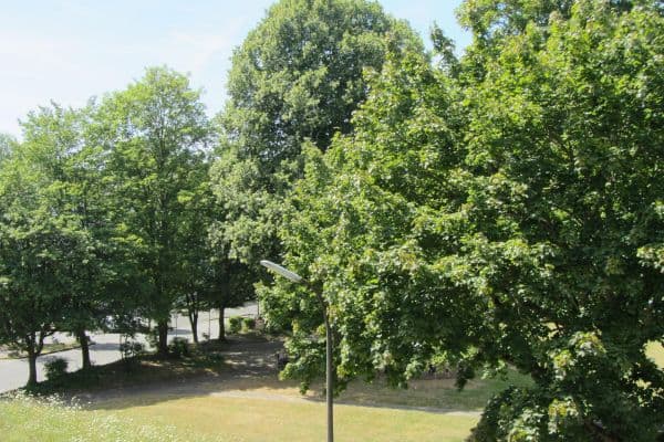 Prodej bytu 2+1 57 m², Alfter / Bonn Prodej bytu 2+1 57 m², Alfter / Bonn