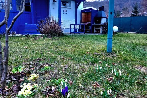 Pronájem chaty, chalupy 42 m², pozemek 481 m², Pod Chybou, Zadní Třebaň Pronájem chaty, chalupy 42 m², pozemek 481 m², Pod Chybou, Zadní Třebaň