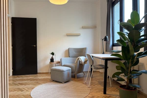 Pronájem bytu 1+1 24 m², Hálkova, Praha Pronájem bytu 1+1 24 m², Hálkova, Praha