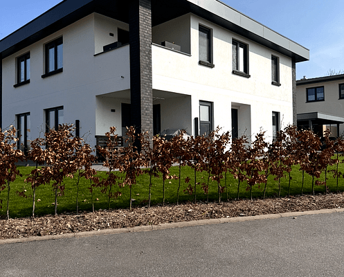 Pronájem domu Pronájem domu