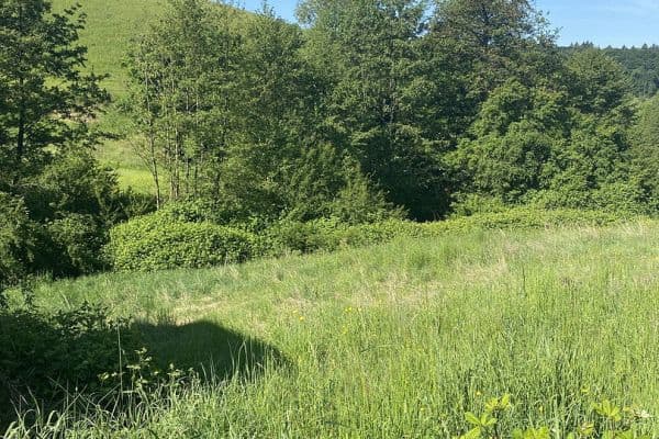 Prodej pozemku 632 m², Gorxheimertal Prodej pozemku 632 m², Gorxheimertal