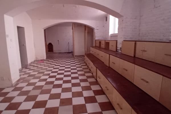 Pronájem nebytového prostoru 113 m², Lucemburská, Praha Pronájem nebytového prostoru 113 m², Lucemburská, Praha