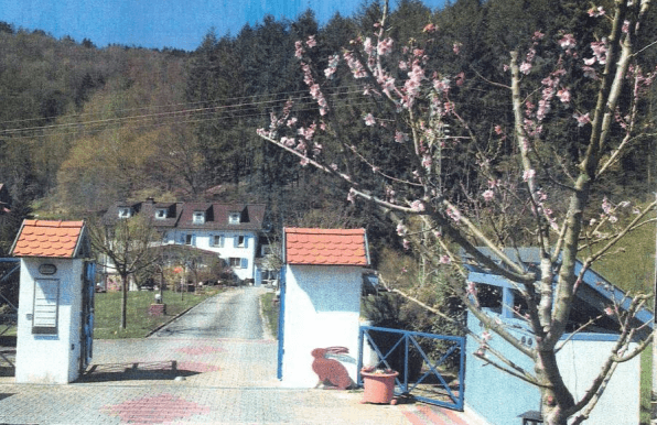 Prodej domu 580 m², pozemek 6.808 m², Oberzent / Beerfelden Prodej domu 580 m², pozemek 6.808 m², Oberzent / Beerfelden