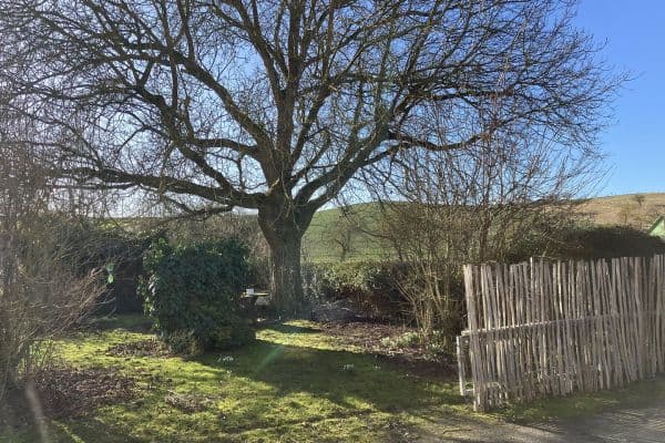 Prodej pozemku 150 m², Grebenstein Prodej pozemku 150 m², Grebenstein