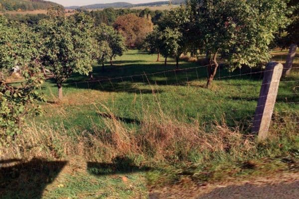 Prodej pozemku 1.006 m², Nezdice Prodej pozemku 1.006 m², Nezdice