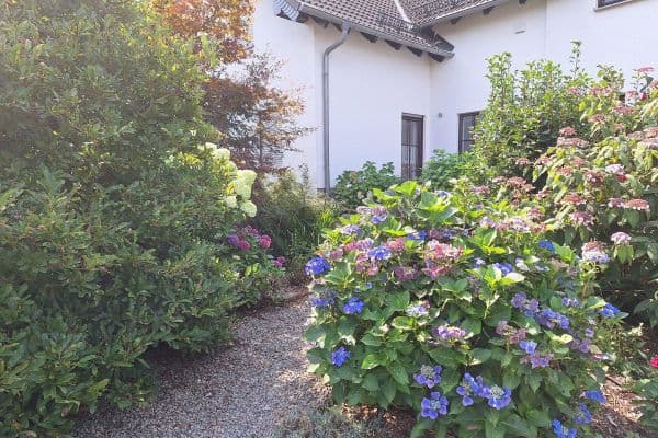 Prodej domu 329 m², pozemek 2.867 m², St. Egidien Prodej domu 329 m², pozemek 2.867 m², St. Egidien