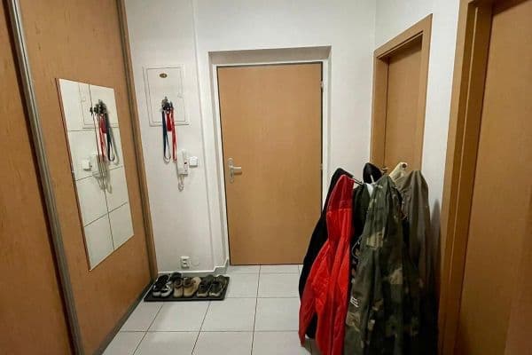 Pronájem bytu 1+kk 48 m², U Leskavy, Brno Pronájem bytu 1+kk 48 m², U Leskavy, Brno