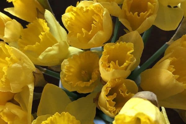 Prodej bytu 5+1 160 m², Rottenburg am Neckar Prodej bytu 5+1 160 m², Rottenburg am Neckar