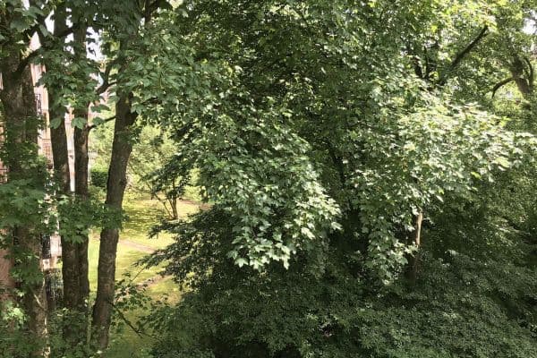 Prodej bytu 2+kk 67 m², Hamburg, Hamburg Prodej bytu 2+kk 67 m², Hamburg, Hamburg