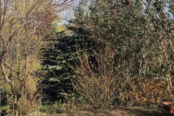 Pronájem bytu 1+kk 30 m², Sukova, Velké Přílepy Pronájem bytu 1+kk 30 m², Sukova, Velké Přílepy