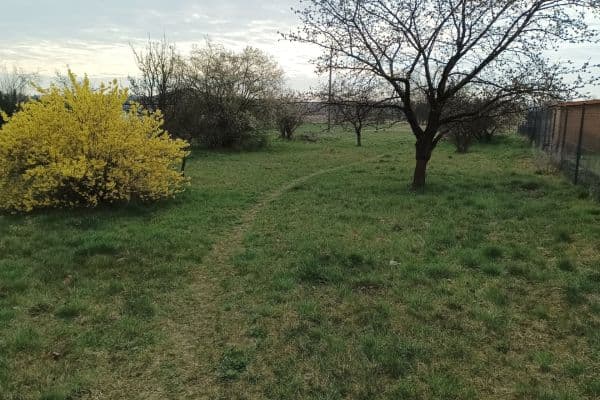 Prodej pozemku 500 m², Polní, Lázně Bohdaneč Prodej pozemku 500 m², Polní, Lázně Bohdaneč