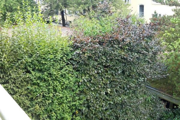 Pronájem bytu 2+1 55 m², Sendling-Westpark, München, Bavorsko Pronájem bytu 2+1 55 m², Sendling-Westpark, München, Bavorsko