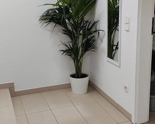 Pronájem bytu 2+1 58 m², Oberborsbacher Str. 19, Odenthal Pronájem bytu 2+1 58 m², Oberborsbacher Str. 19, Odenthal