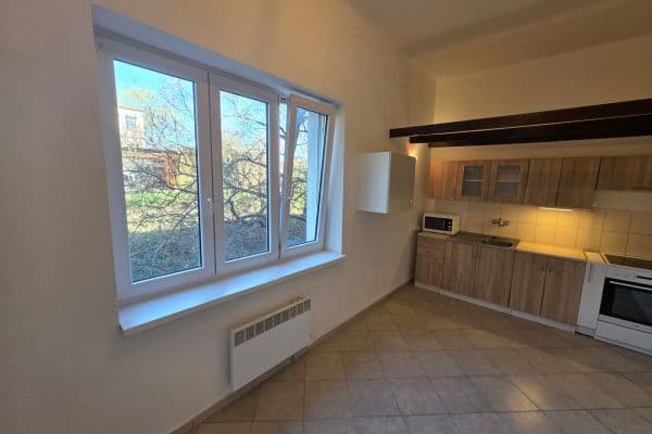 Pronájem bytu 1+1 47 m², Jana Želivského, Praha Pronájem bytu 1+1 47 m², Jana Želivského, Praha