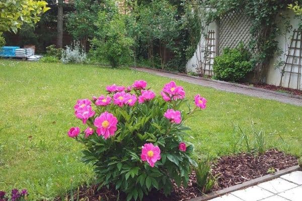 Pronájem bytu 2+1 90 m², Zorneding, Bavorsko Pronájem bytu 2+1 90 m², Zorneding, Bavorsko