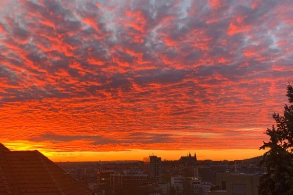 Pronájem bytu 2+1 52 m², Zengrova, Praha Pronájem bytu 2+1 52 m², Zengrova, Praha