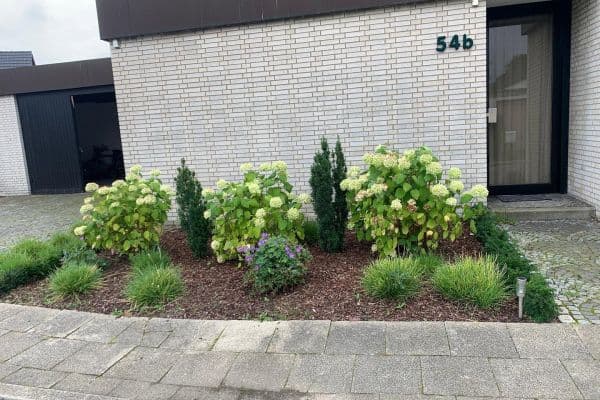 Pronájem bytu 2+1 60 m², Sehrbruchskamp 54b, Herne Pronájem bytu 2+1 60 m², Sehrbruchskamp 54b, Herne