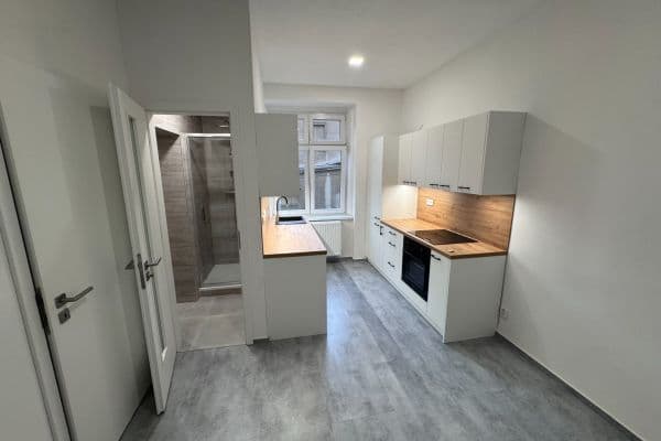 Pronájem bytu 2+kk 54 m², Moskevská, Ústí nad Labem Pronájem bytu 2+kk 54 m², Moskevská, Ústí nad Labem