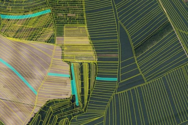 Prodej pozemku 16.000 m², Uherčice Prodej pozemku 16.000 m², Uherčice