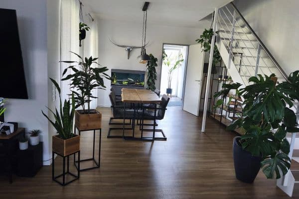 Pronájem bytu 3+1 105 m², Offlumer Str. 45 / Wichernstr. 8, Neuenkirchen Pronájem bytu 3+1 105 m², Offlumer Str. 45 / Wichernstr. 8, Neuenkirchen