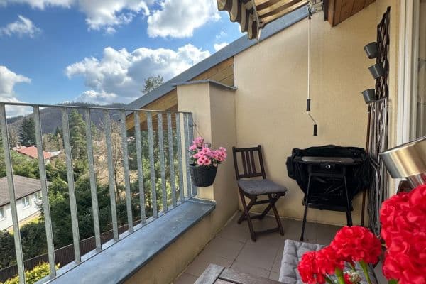 Pronájem bytu 1+kk 31 m², Slapy Pronájem bytu 1+kk 31 m², Slapy