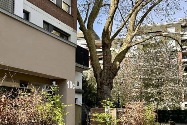 Pronájem bytu 4+1 105 m², Nesselrodestr. 18 b, Köln Pronájem bytu 4+1 105 m², Nesselrodestr. 18 b, Köln