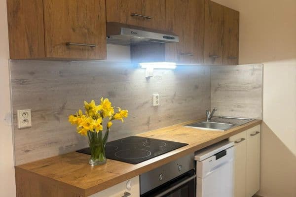 Pronájem bytu 2+kk 51 m², Dělnická, Praha Pronájem bytu 2+kk 51 m², Dělnická, Praha