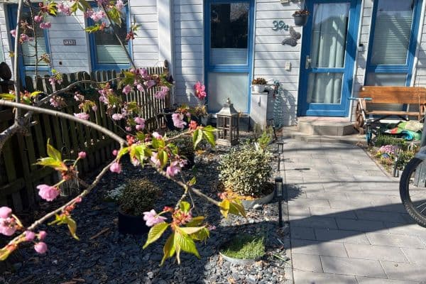 Prodej domu 165 m², pozemek 162 m², Falkensee Prodej domu 165 m², pozemek 162 m², Falkensee