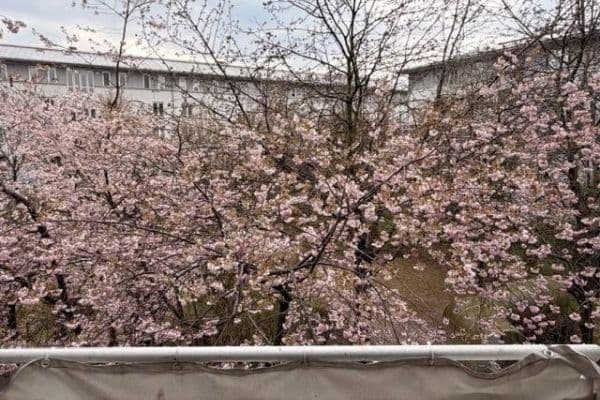 Pronájem bytu 1+kk 42 m², München, Bavorsko Pronájem bytu 1+kk 42 m², München, Bavorsko