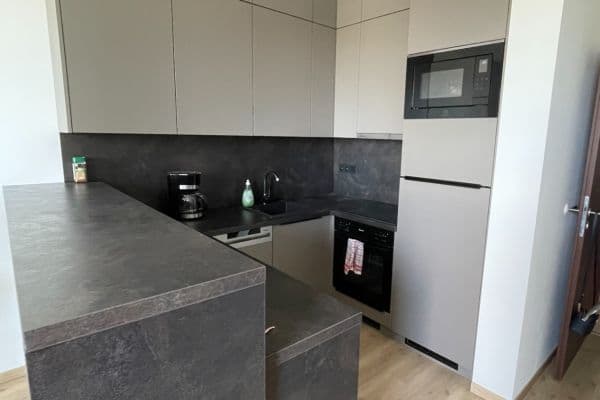 Pronájem bytu 1+kk 30 m², Svitákova, Praha Pronájem bytu 1+kk 30 m², Svitákova, Praha