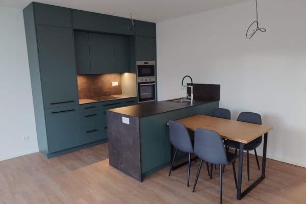 Pronájem bytu 2+kk 55 m², Jeronýmova, České Budějovice Pronájem bytu 2+kk 55 m², Jeronýmova, České Budějovice