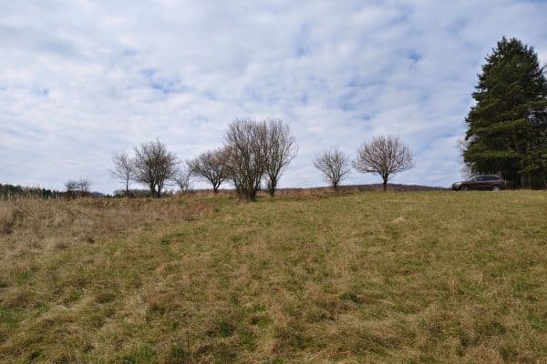 Prodej pozemku 4.638 m², Osvětimany Prodej pozemku 4.638 m², Osvětimany