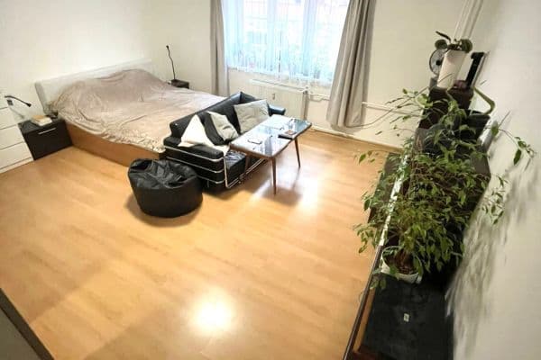 Pronájem bytu 1+1 43 m², Nové Mesto Pronájem bytu 1+1 43 m², Nové Mesto