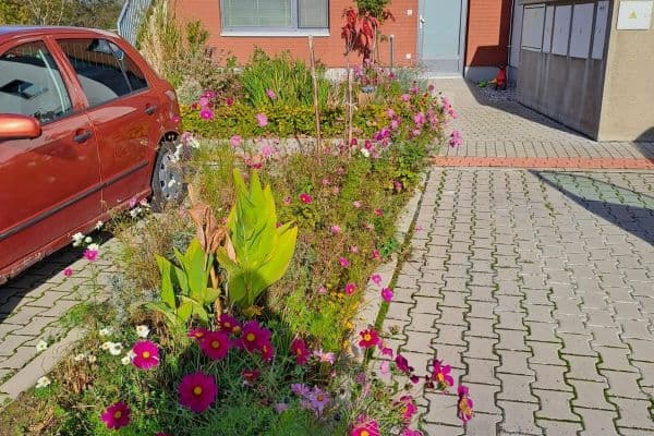 Pronájem bytu 2+kk 60 m², Plavínová, Říčany Pronájem bytu 2+kk 60 m², Plavínová, Říčany