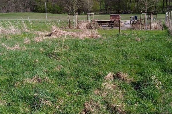 Prodej pozemku 581 m², Heimbuchenthal Prodej pozemku 581 m², Heimbuchenthal