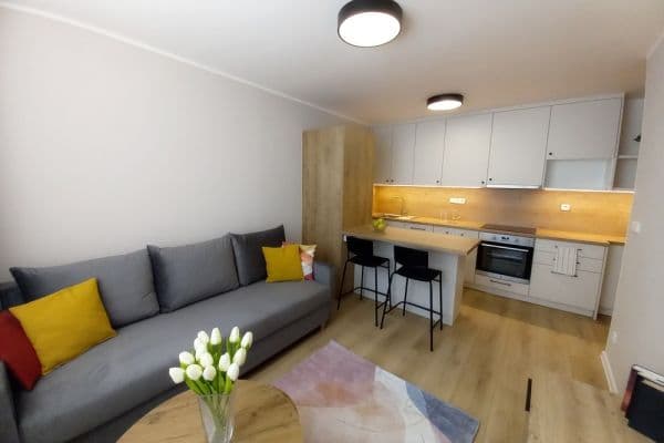 Pronájem bytu 2+kk 40 m², Mečíková, Praha Pronájem bytu 2+kk 40 m², Mečíková, Praha