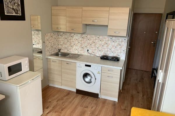Pronájem bytu 1+kk 17 m², Čestmírova, Pronájem bytu 1+kk 17 m², Čestmírova,