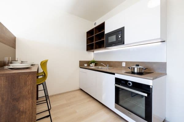Pronájem bytu 1+kk 27 m², Magisterská, Pronájem bytu 1+kk 27 m², Magisterská,