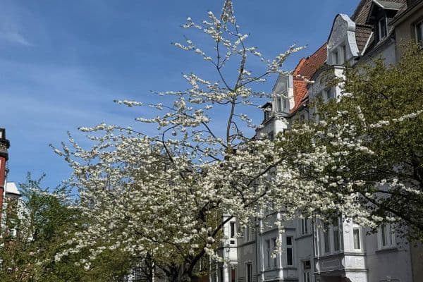 Pronájem bytu 4+1 134 m², Dortmund, Severní Porýní-Vestfálsko Pronájem bytu 4+1 134 m², Dortmund, Severní Porýní-Vestfálsko