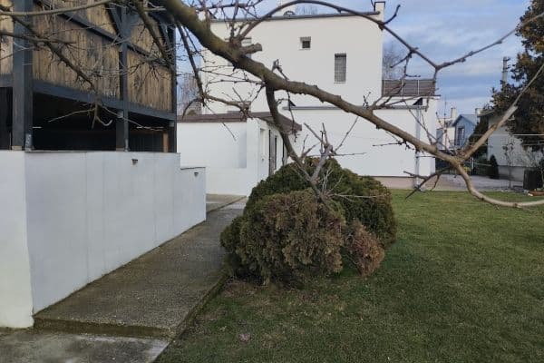 Prodej domu 180 m², pozemek 450 m², Vydrany Prodej domu 180 m², pozemek 450 m², Vydrany