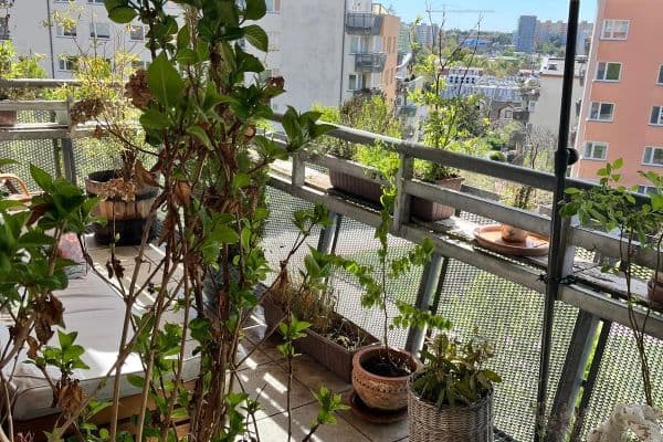 Prodej bytu 4+kk 100 m², Symfonická, Praha Prodej bytu 4+kk 100 m², Symfonická, Praha