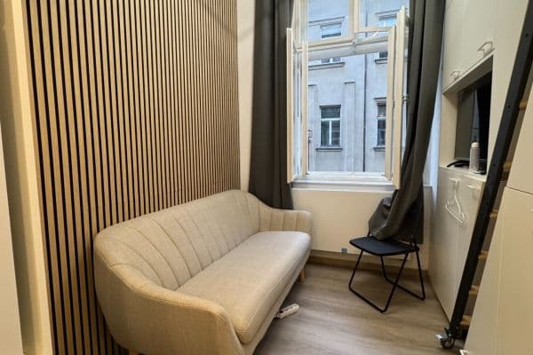 Pronájem bytu 1+kk 15 m², U Půjčovny, Praha Pronájem bytu 1+kk 15 m², U Půjčovny, Praha