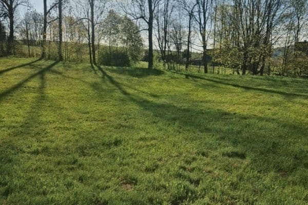 Prodej pozemku 2.670 m², Svojek Prodej pozemku 2.670 m², Svojek