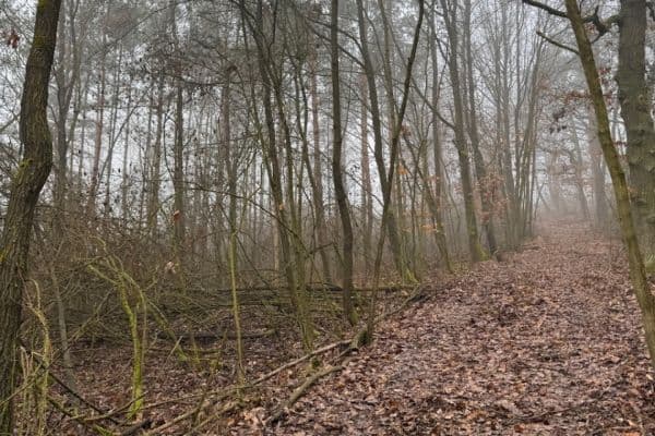 Prodej pozemku 3.854 m², Chotiněves Prodej pozemku 3.854 m², Chotiněves