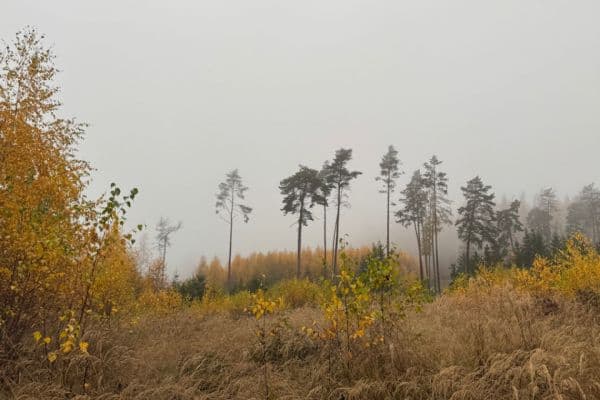 Prodej pozemku 13.538 m², Úboč Prodej pozemku 13.538 m², Úboč