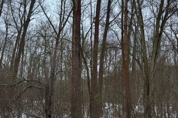 Prodej pozemku 20.392 m², Kralupy nad Vltavou Prodej pozemku 20.392 m², Kralupy nad Vltavou
