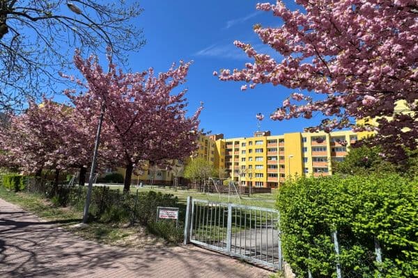 Pronájem bytu 3+1 80 m², J. Š. Baara, České Budějovice Pronájem bytu 3+1 80 m², J. Š. Baara, České Budějovice