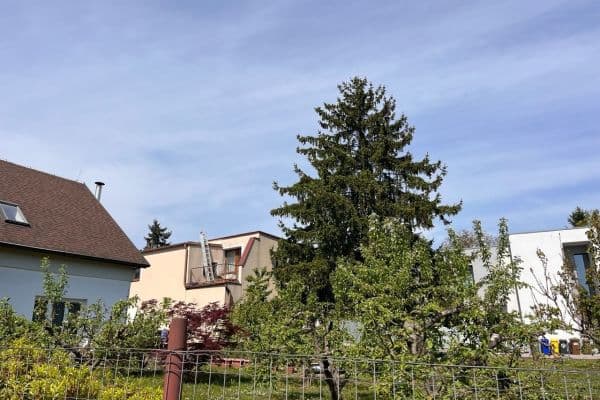 Prodej pozemku 621 m², U Cikánky, Praha Prodej pozemku 621 m², U Cikánky, Praha