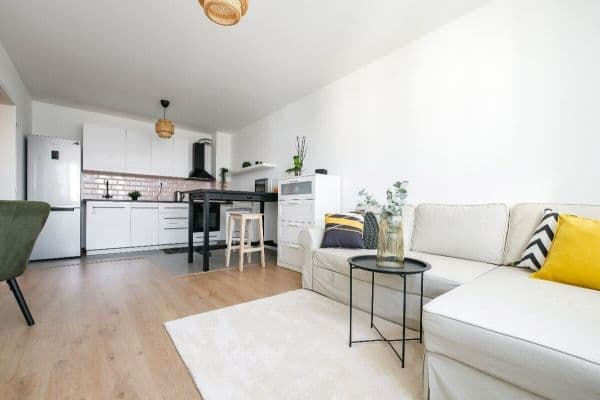 Pronájem bytu 1+1 46 m², Na Belánce, Plzeň Pronájem bytu 1+1 46 m², Na Belánce, Plzeň
